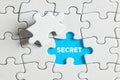 To expose or discover a secret. The word secret on blue missing puzzle piece Royalty Free Stock Photo