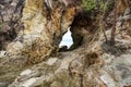 Pierced stone or hole in a massive quartzite rocky cliff. Royalty Free Stock Photo