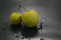 To green apples splashed with water. Royalty Free Stock Photo