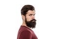 To grow awesome beard, simply put away your razor and trimmer and wait. Simply required to not shave. Beard hairs grow