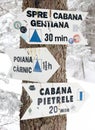 Trail markings on a tree with directions for the orientation of the tourists in Retezat Mountains, RomaniaT