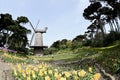 Dutch Windmill Golden Gate Park San Francisco 6 Royalty Free Stock Photo