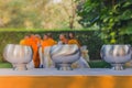 To make merit by offering food to monk ceremony in Thai wedding Royalty Free Stock Photo