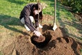 To plant a fruit tree in a garden Royalty Free Stock Photo