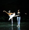 To save the prince of Ojta-ballet Swan Lake