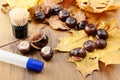 To tinker handmade figures of chestnuts and glue Royalty Free Stock Photo