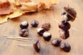 To tinker handmade figures of chestnuts and glue Royalty Free Stock Photo