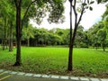 Toa Payoh town park