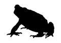 Toad Black silhouette