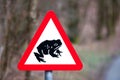 Toad Crossing road sign