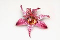 Toad lily on white