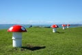 Toadstool air vents on Mt Victoria, Auckland Royalty Free Stock Photo