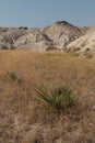 Toadstool Geologic Park Royalty Free Stock Photo