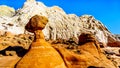 Toadstool Hoodoos against the background of the colorful sandstone mountains in Grand Staircase-Escalante Monument Royalty Free Stock Photo