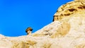 Toadstool Hoodoos on top of the colorful sandstone mountains in Grand Staircase-Escalante Monument Royalty Free Stock Photo