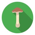 Toadstool icon in flat style on white background. Mushroom symbol stock vector illustration.