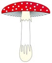 Toadstool ilustration