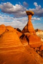 The Toadstools Royalty Free Stock Photo