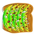 Toast with avocado, pomegranate, cheese. Vector cartoon illustration. Isolated object