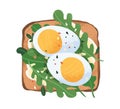 Toast with boiled eggs, rucola and cream cheese on grilled bread. Sandwich with slices of fresh ingredients. Vegetarian