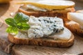 Toast or canape  with goat cheese, thyme, honey.  Delicious appetizer, ideal as an aperitif Royalty Free Stock Photo