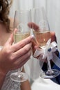 Toast Champagne Royalty Free Stock Photo