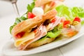 Toast with cheese and ham Royalty Free Stock Photo