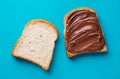 Toast with chocolate butter Royalty Free Stock Photo