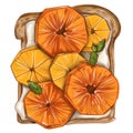 Toast with citrus colourful sketch