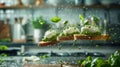 Toast With Fresh Green Veggies Royalty Free Stock Photo