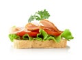 Toast with lettuce,tomato,cold cuts with parsley on white