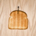 Toast nailed to wood.