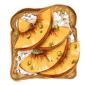 Toast with Peach colourful sketch