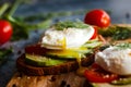 Toast with poached eggs, tomatoes, avocado, spices and herbs Royalty Free Stock Photo