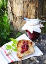 Toast and raspberry jam