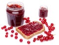 Toast with redcurrant jam and fresh redcurrants Royalty Free Stock Photo
