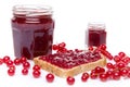 Toast with redcurrant jam and fresh redcurrants Royalty Free Stock Photo