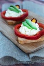 Toast with salad and garlic cheese. appetizer Royalty Free Stock Photo