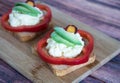 Toast with salad and garlic cheese. appetizer Royalty Free Stock Photo