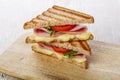 Toast sandwich grilled