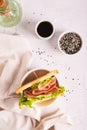 Toast sandwich with ham, cheese and herbs in a bowl on the table top and vertical view Royalty Free Stock Photo