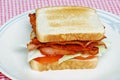 Toasted Bacon Lettuce Tomato club sandwich