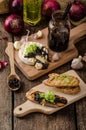 Toasted bread with brie cheese and caramelized onions Royalty Free Stock Photo