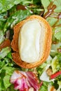 Toasted bread with goat cheese on green lettuche Royalty Free Stock Photo