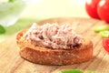 Toasted bread with meat spread Royalty Free Stock Photo