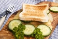 Toasted bread with melted irish mild cheddar and cucumber slices