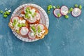 Toasted bread with radish and cottage cheese Royalty Free Stock Photo