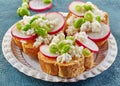 Toasted bread with radish and cottage cheese Royalty Free Stock Photo