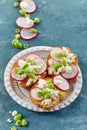 Toasted bread with radish and cottage cheese Royalty Free Stock Photo