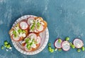 Toasted bread with radish and cottage cheese Royalty Free Stock Photo
